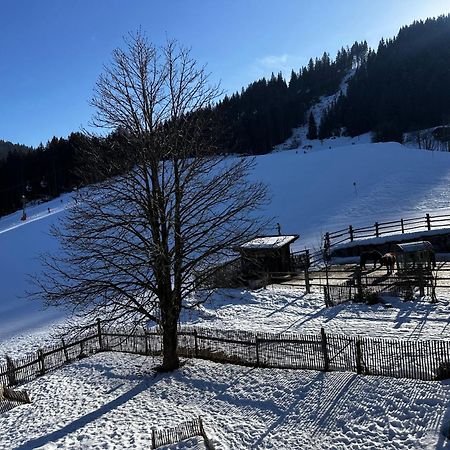 Apartmán Obinghof Fieberbrunn Exteriér fotografie