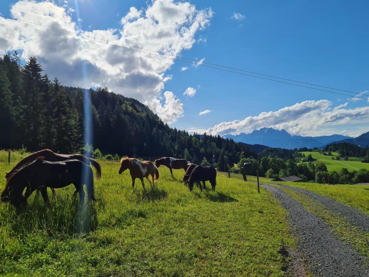 Apartmán Obinghof Fieberbrunn Exteriér fotografie