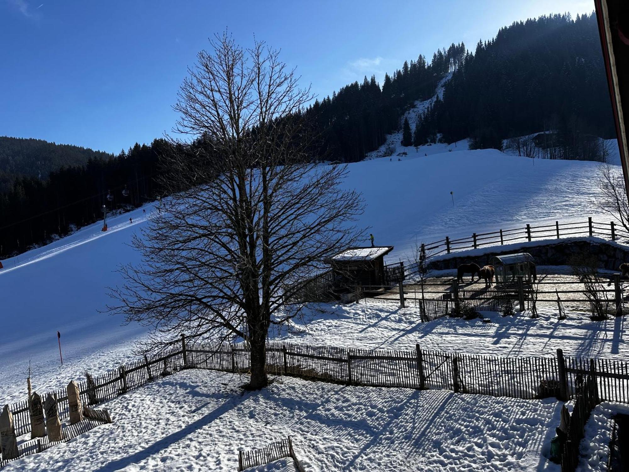 Apartmán Obinghof Fieberbrunn Exteriér fotografie
